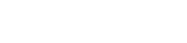 Graphic Nangalia Stock Broking Pvt Ltd logo